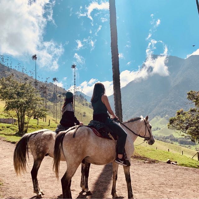 Horse-riding experience in Colombia