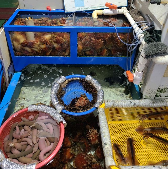 속초 수산시장 천진횟집!