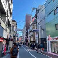 【東京・巣鴨】おばあちゃんの原宿に！！