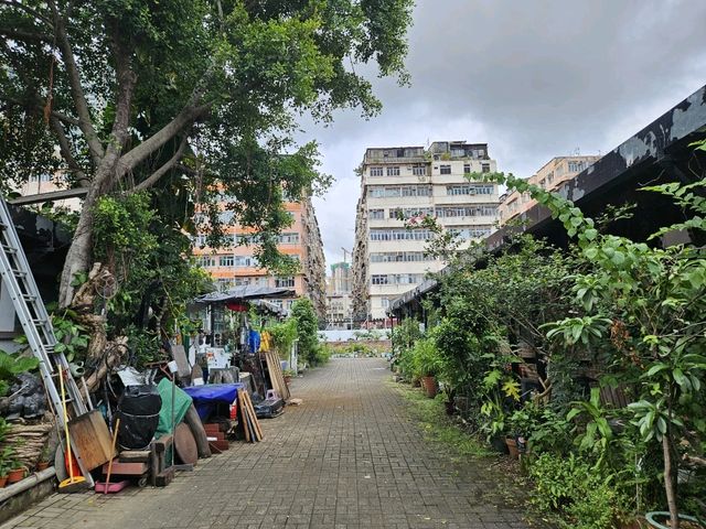 屠牛場改建成的藝術村