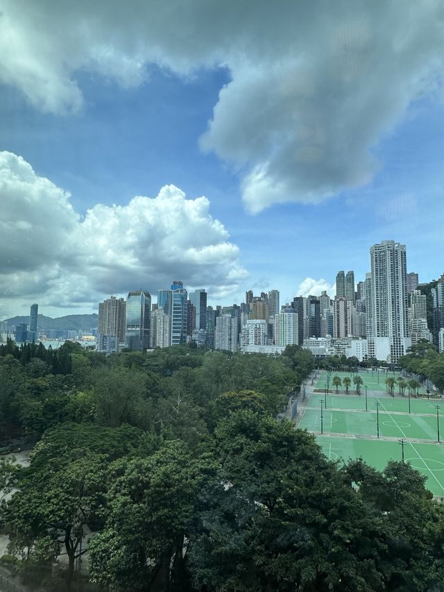 《維園靚景燒肉午餐》