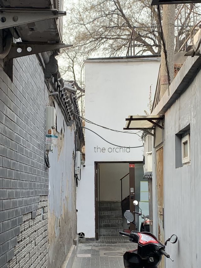 베이징 | 골목에 숨겨진 찐맛집 ‘The orchid’