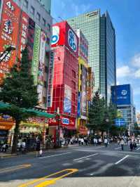 Must Visit!!! Akihabara Tokyo Japan 