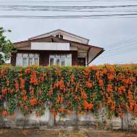 📍บ้านๆ น่านๆ Banban Nannan Library and Guest Home