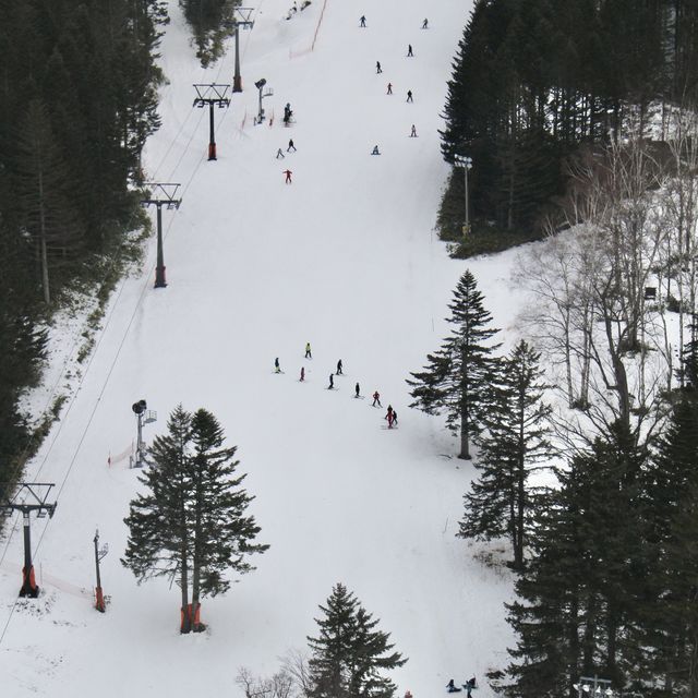 北海道星野Tomamu度假村 *面向滑雪場的兩房一廳*