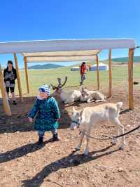 몽골여행에서 만난 순록가족🦌🦌