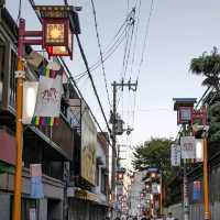 御幸戎神社と、御幸通中央( OSAKA KOREA TAWN）の【 LEE MART 】で、キムチと韓国食材を買い物。