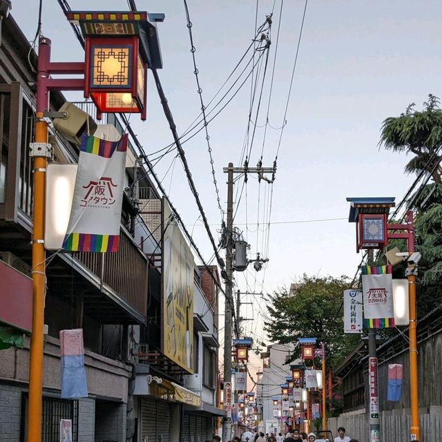 御幸戎神社と、御幸通中央( OSAKA KOREA TAWN）の【 LEE MART 】で、キムチと韓国食材を買い物。