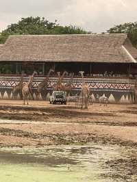 親子野生動物園之旅