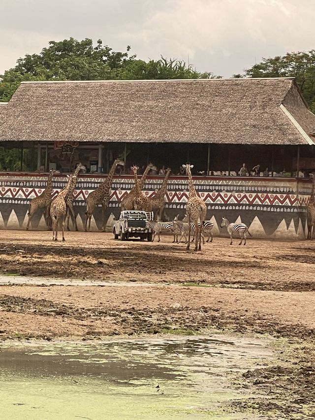 親子野生動物園之旅