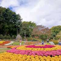 Roma Street Parkland Brisbane