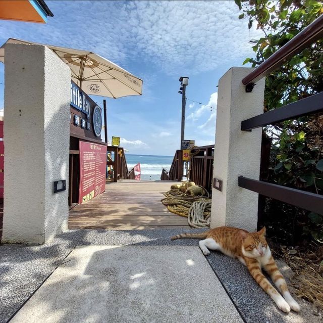 峇里島夢幻🌴🏖️🏨🍽️ 墾丁凱撒大飯店