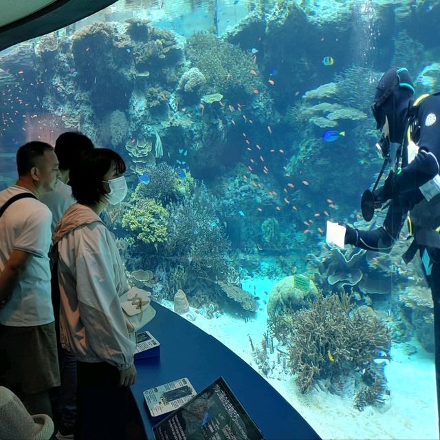 沖繩美麗海水族館