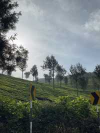 6 Stunning Places in Munnar, Kerala India
