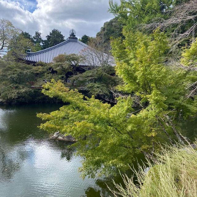  🎌禪意浸潤的日式寺院🎌 醍醐寺🎌