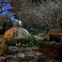 Atami Plum garden and momiji 