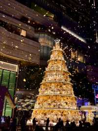 香港｜今年的聖誕樹太美啦🎄💗