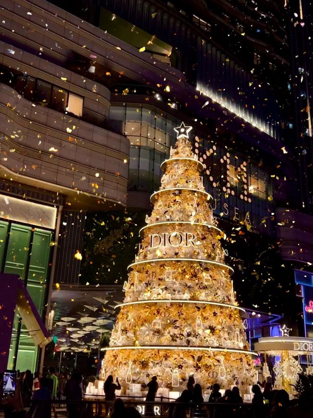 香港｜今年的聖誕樹太美啦🎄💗