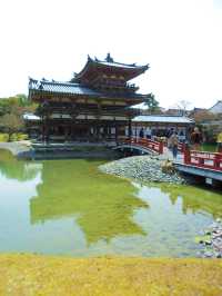 A day in Kyoto: Byōdō-in & Fushimi Inari