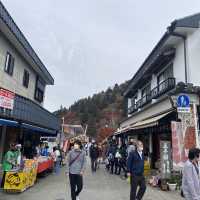 愛知縣最美香嵐溪