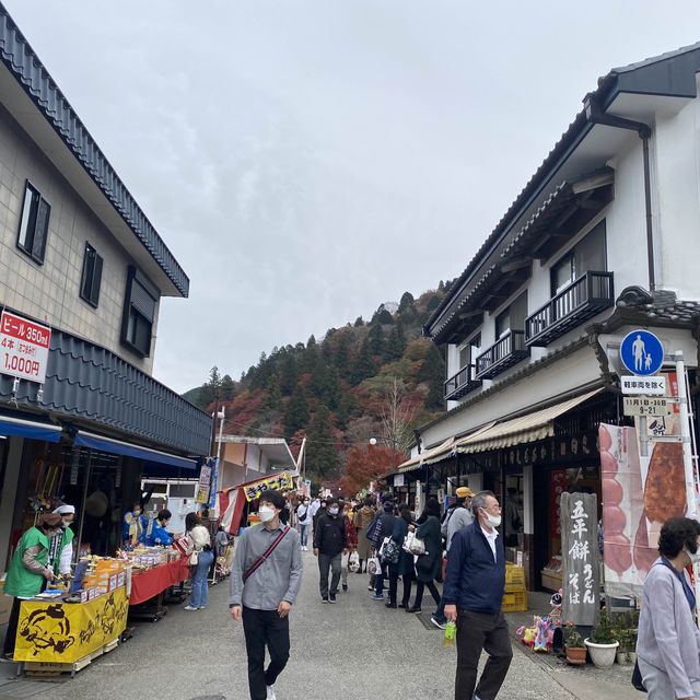 愛知縣最美香嵐溪