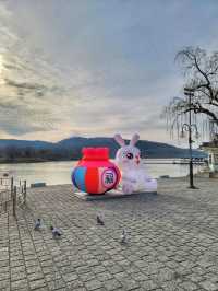 경주 보문단지에서 만나는 2023 계묘년 복토끼🐰