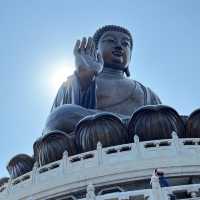 天壇大佛 寶蓮寺 洗滌心靈之旅