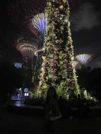 新加坡 | 必去睇夜景gardens by the bay
