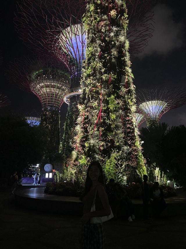 新加坡 | 必去睇夜景gardens by the bay