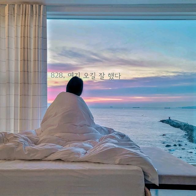 동해바다 일출뷰를 한눈에 볼 수 있는 가성비 숙소추천해드려요!
