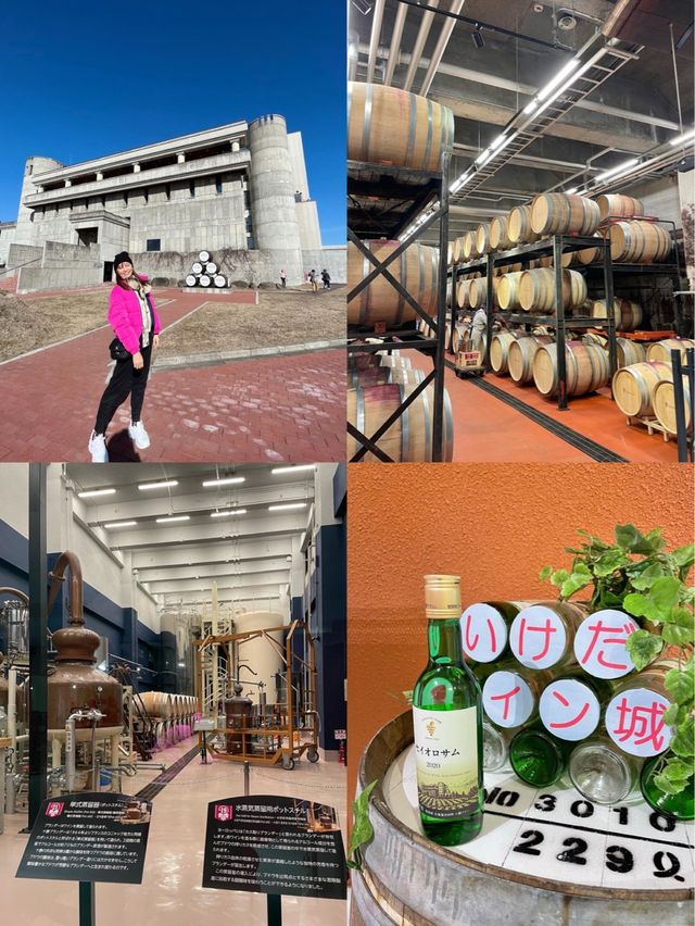 ☼參觀北海道池田酒窖☼