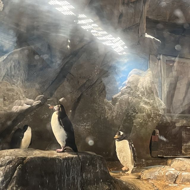 海洋公園：南極奇觀