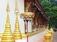 ไหว้พระสิงห์ เมืองเชียงราย