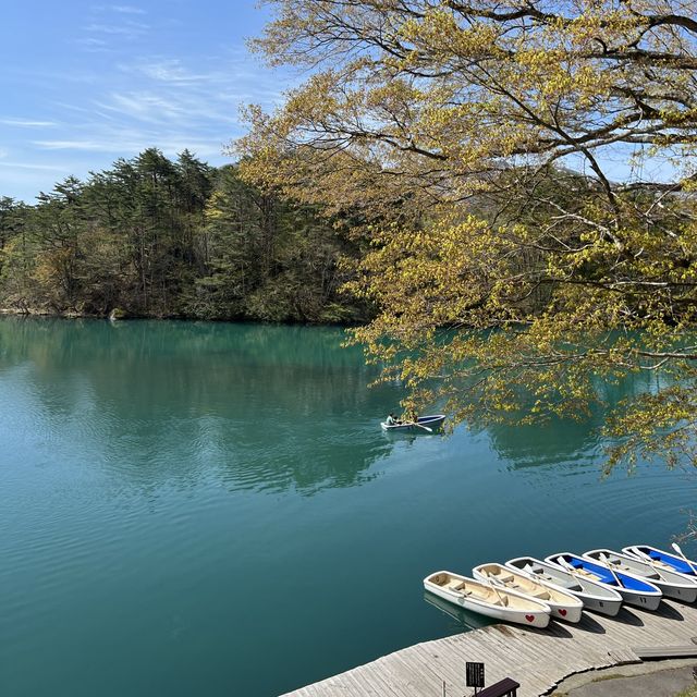 【福島・絶景】神秘の湖沼「五色沼」