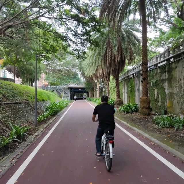 花蓮七星潭海濱自行車道