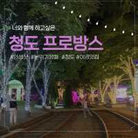 LED 조명 아래 빛나는 불빛들로 가득한, 청도 프로방스 빛 축제