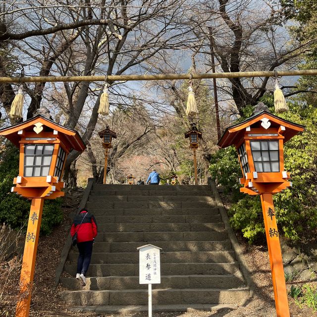 《河口湖富士山之旅🗻🇯🇵》