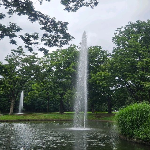 東京都心最大嘅公園：代代木公園隨意遊