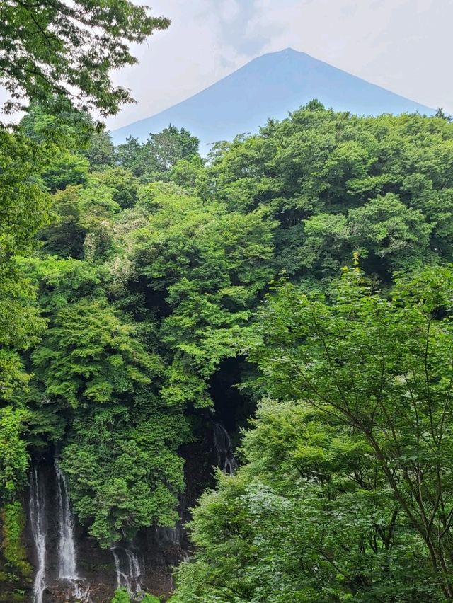 【静岡】白糸ノ滝