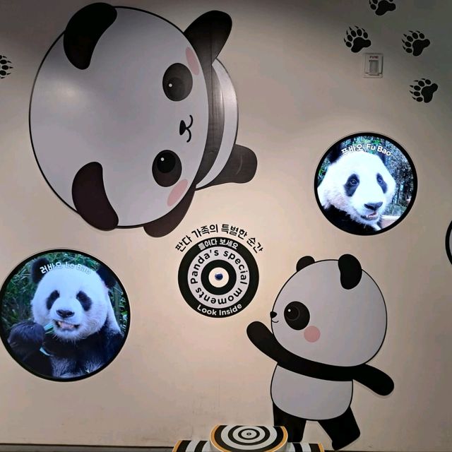 韓國🇰🇷愛寶樂園Everland😍參觀可愛熊貓館🐼