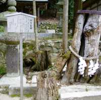 【京都府/松尾大社】酒造の神様が祀られている神社