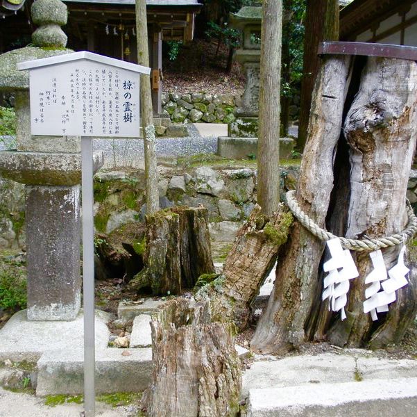 【京都府/松尾大社】酒造の神様が祀られている神社