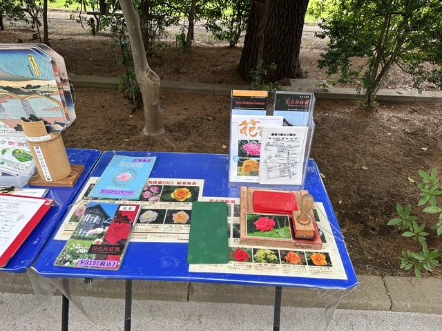 東京・北区。バラの季節には多くの品種の花が咲き誇るそうです『旧古河庭園』