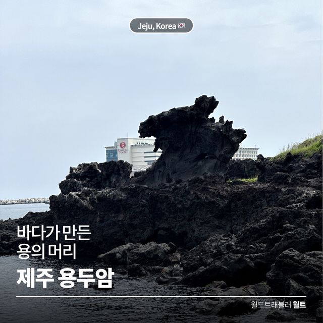 바다가 만든 용의 머리 🐲 제주 용두암