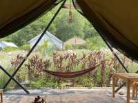 Mont Blanc Glamping ที่พักเขาใหญ่สไตส์แคมป์ปิ้ง 🏕