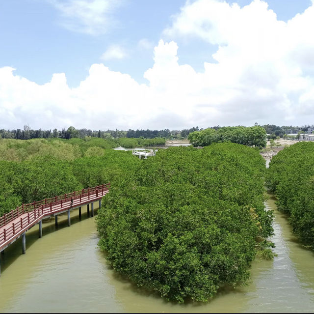 漫步紅樹林🌳🚶🌊紅樹林城市濕地公園