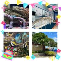 海底奇幻之旅！暢遊普吉水族館🐠🌊🐚