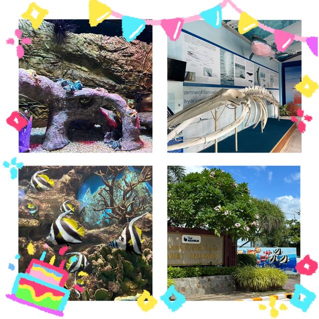 海底奇幻之旅！暢遊普吉水族館🐠🌊🐚