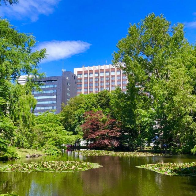 🏰이국적인 풍경과 여유로운 🌳삿포로에 위치한 홋카이도청😌