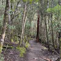 荷伯特 費爾德山國家公園探索自然生態